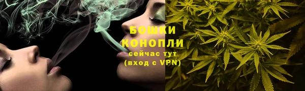 эйфоретик Бородино