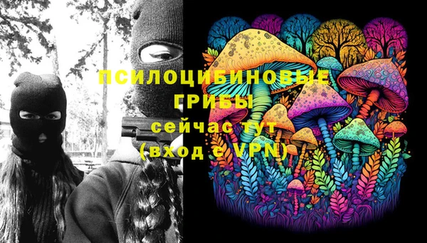 эйфоретик Бородино