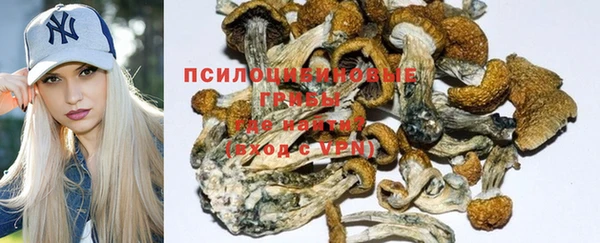стафф Бугульма