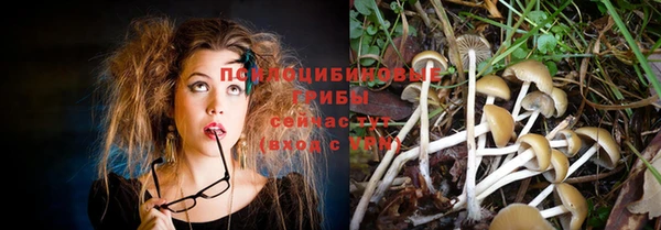 эйфоретик Бородино
